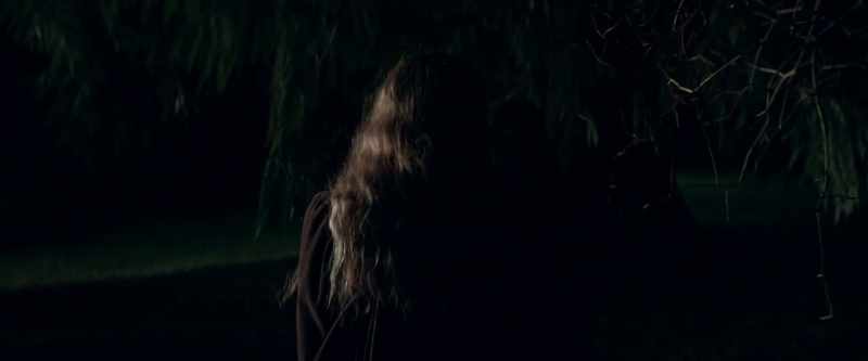 by séance. - [BRANCHES CRACKLING]