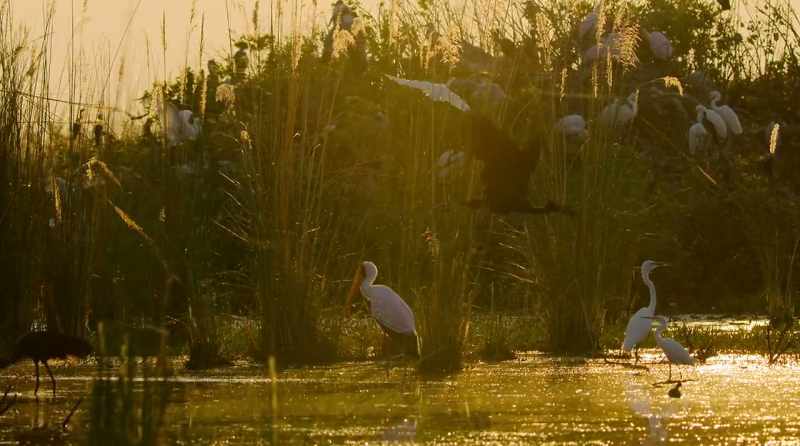 By September, the temperatures rise