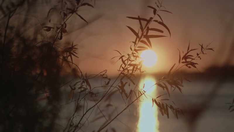 � By the time darkness falls, yes