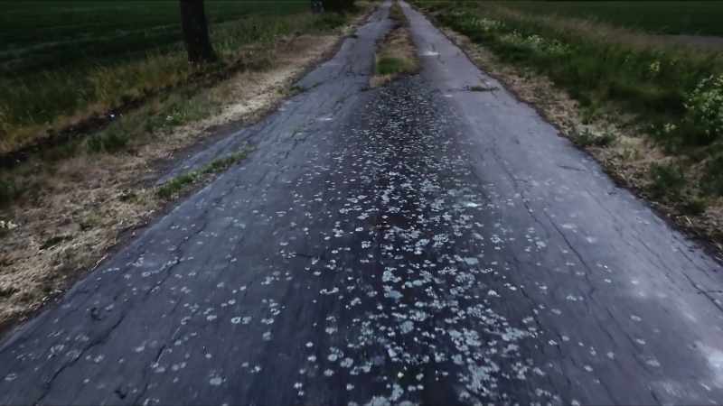 By the time we got to Sweden