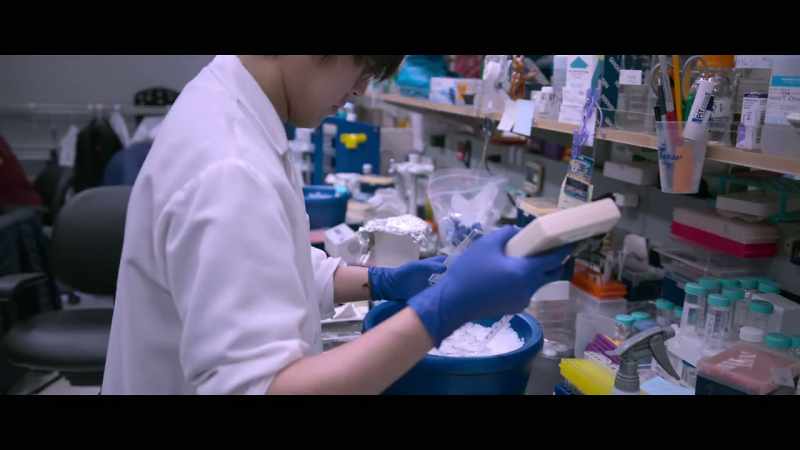 By using the Cas9 system