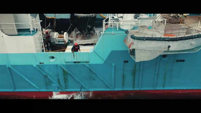Bycatch was all the other marine life