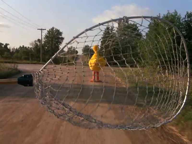Bye, Big Bird