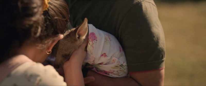 'Bye, Bunny