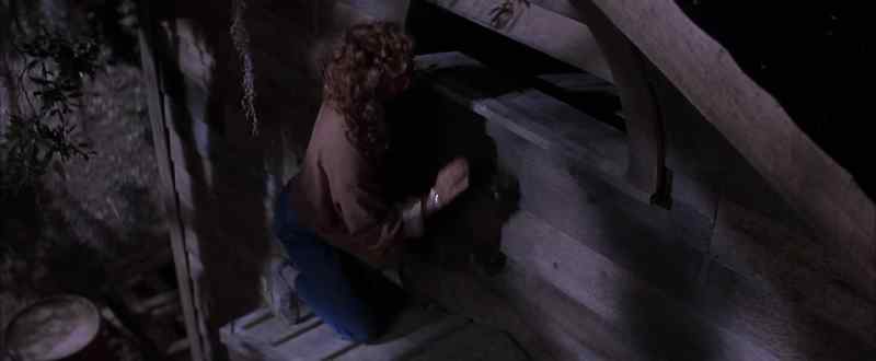 Bye-bye, Rocky Raccoon