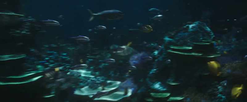 Bye, fishy. Bye
