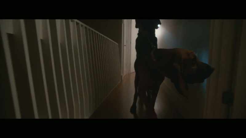Cadaver dogs are trained to alert on either