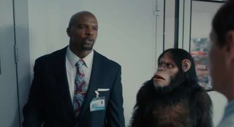 Caesar has got to show some human intelligence at that board meeting