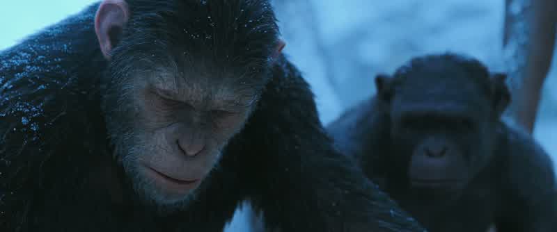 Caesar