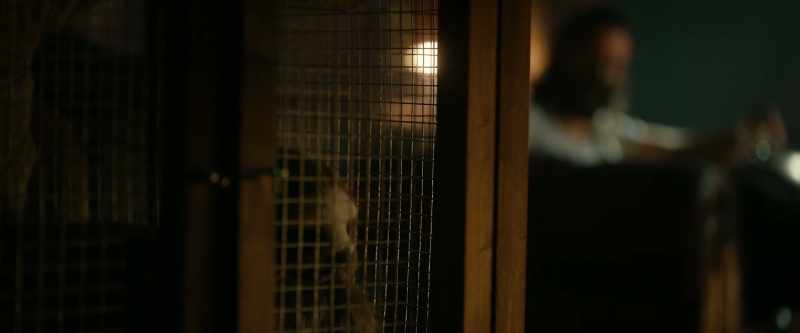 [cage rattles] -[sloth grunts]