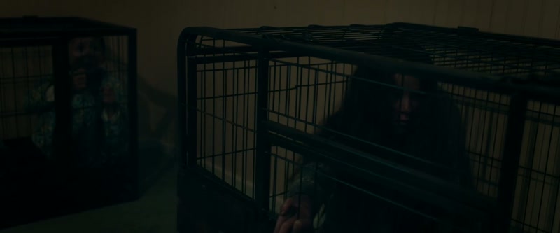 [Cage rattling]
