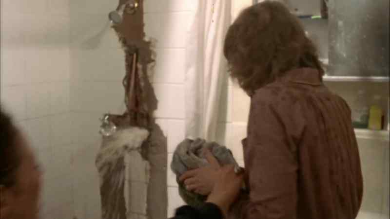 Call a plumber! - Not the plumber!