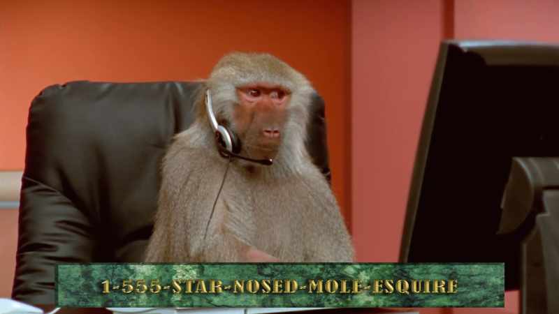 Call me today. Call me yesterday