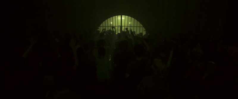 Calm down! We're letting you all out!