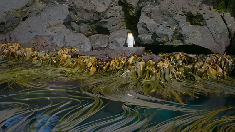 'Calm water in a secluded cove