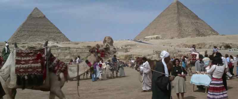 (camel groans)