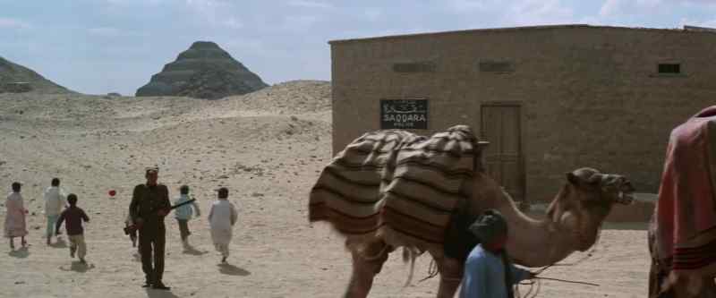 (camel grunting) (children playing)