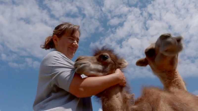 (camel snorts)