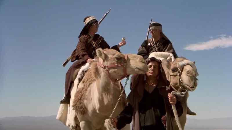 Camel