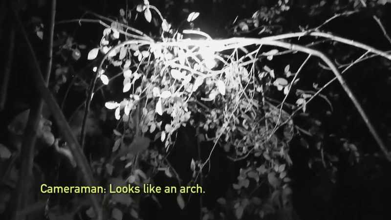 [cameraman speaking]
