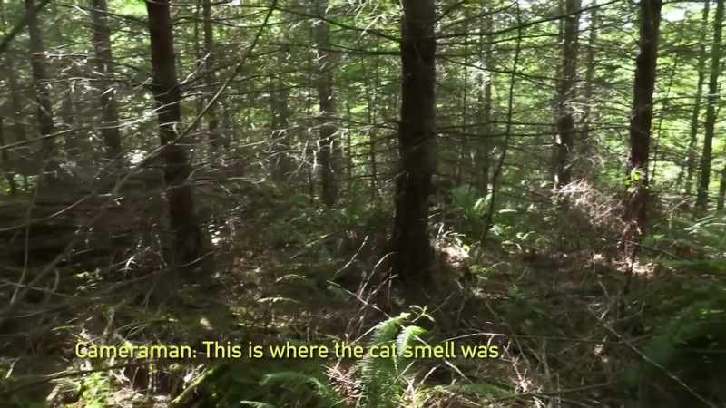 [cameraman speaking]