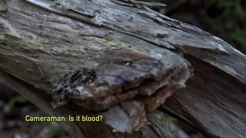 [cameraman speaking]