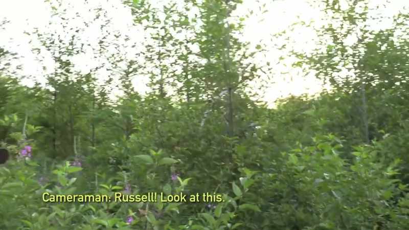 [cameraman speaking]