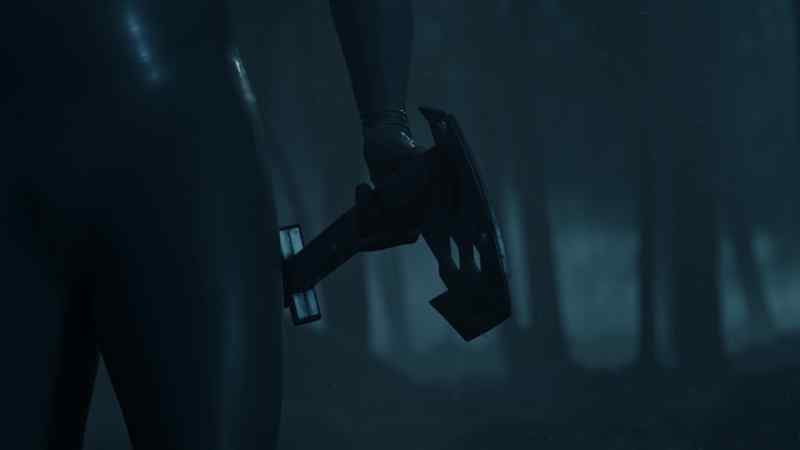 Campion, can you hear me?
