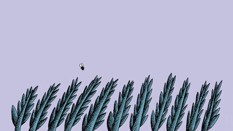 Can you count all the plants? -Not a chance!