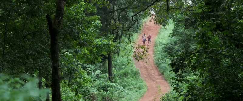 Can we draw a line in the forest? - Why do you care?