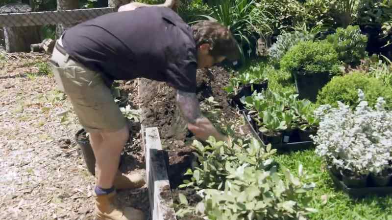 Can see that by having a garden bed here