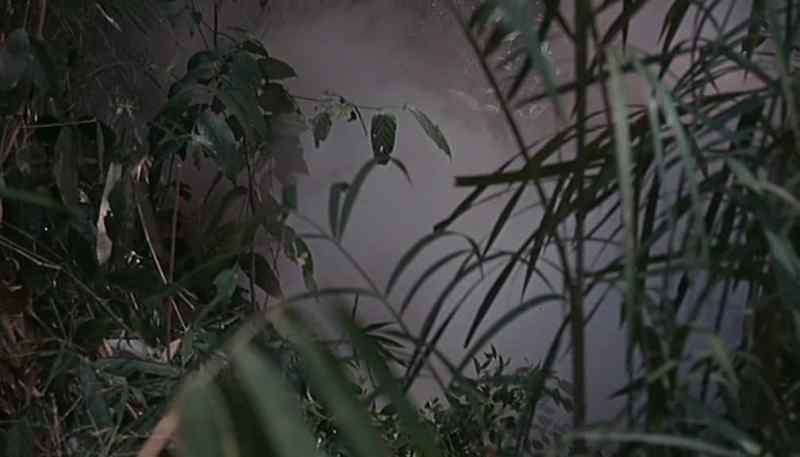 Can you see him?