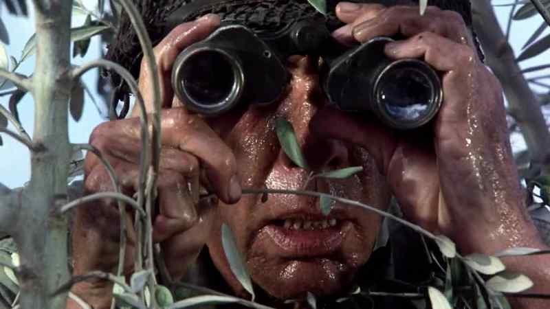 Can you see what it is, sergeant?