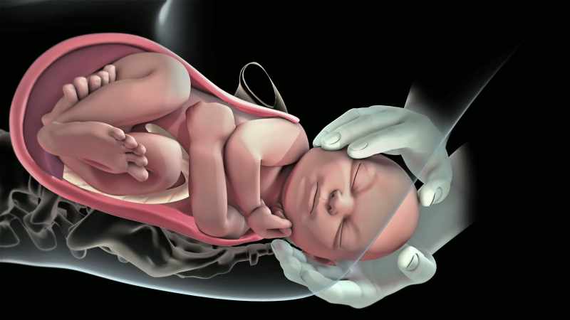 Can we, for example, relive our births?