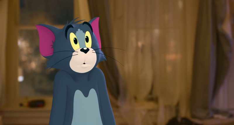 你抓不到一只老鼠吗 你的天性不就是抓老鼠吗 Can't you catch a mouse? Isn't that in your DNA?