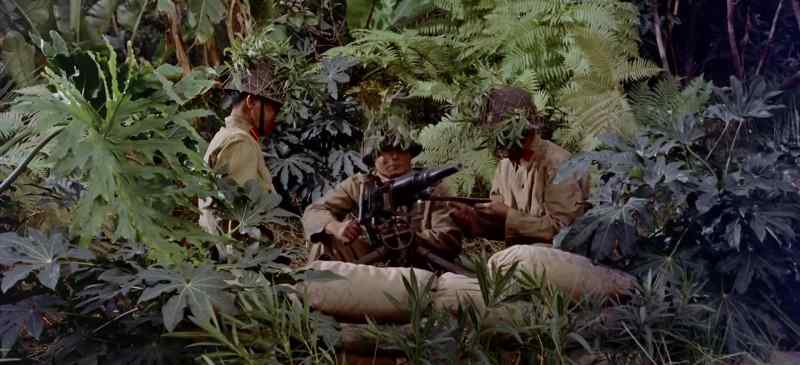 Can't you get him out of there? He'll be shot to pieces