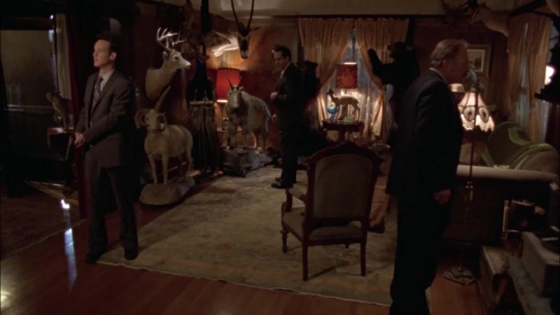 Can't imagine growing up in a house like this