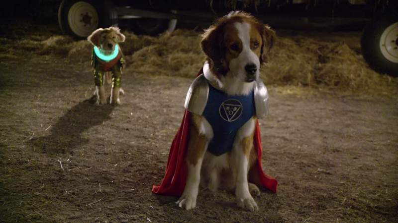 Captain Canine sir are you okay