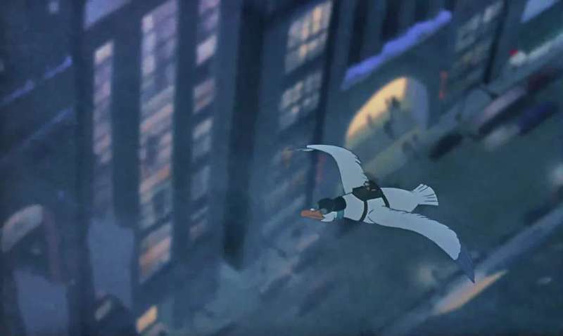 Captain is this a non stop flight to Australia