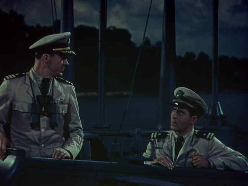 Captain