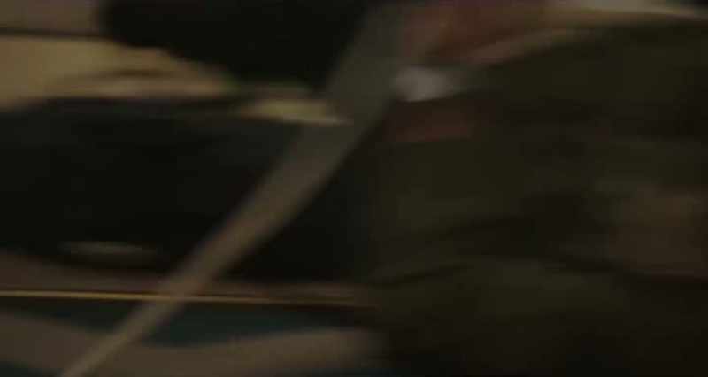 Captain! The doctor is long gone. It is impossible for us to find them