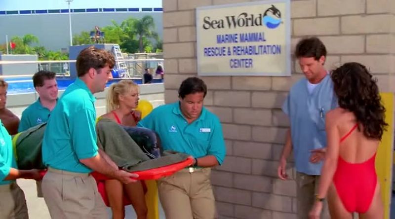 CAPTAIN THOMAS FROM BAYWATCH