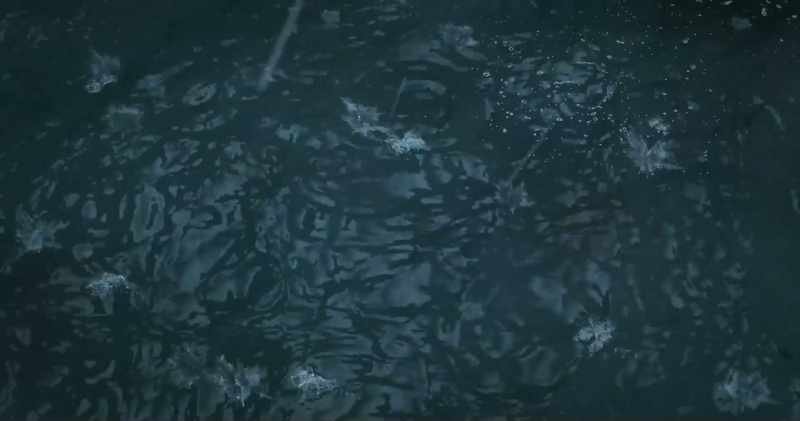 Captain, you yourself