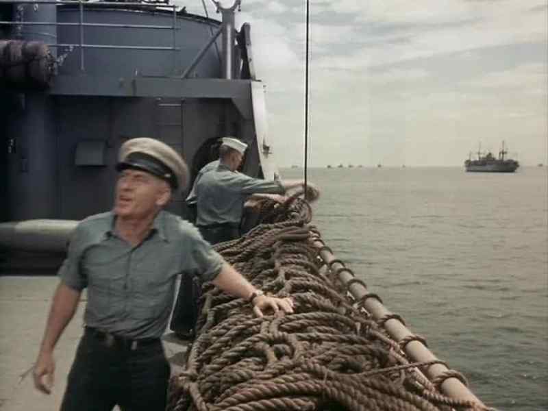 Captain's back from the beach