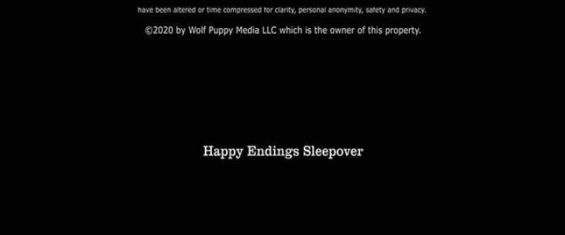 CAPTIONED BY WPM/SKYMARK JOHN RIETVELD, M.P.S.E