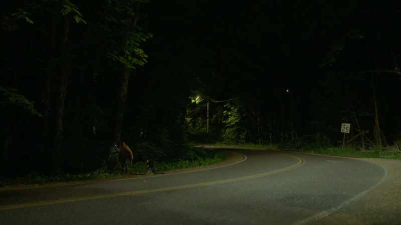 (car approaching)
