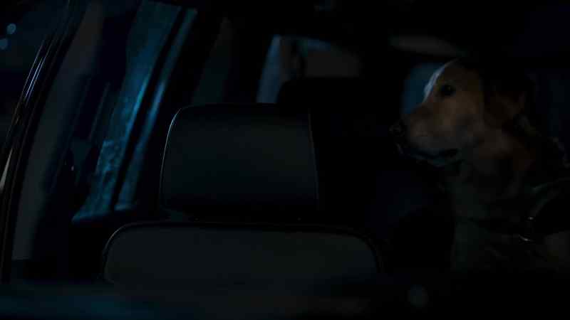 (car door closes)