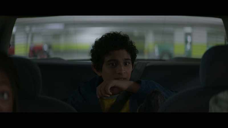 [car horn honks]