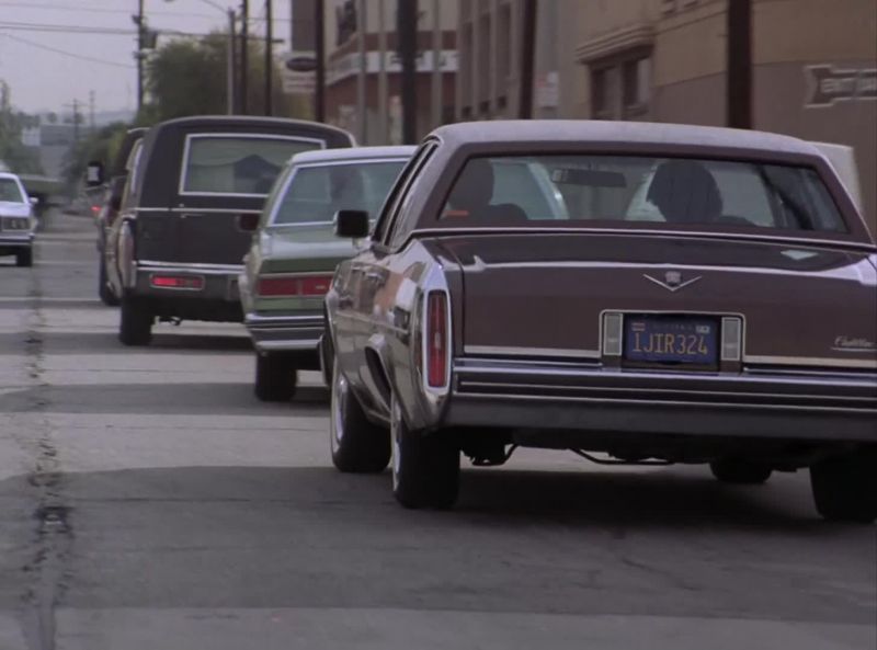 [car horns honking]