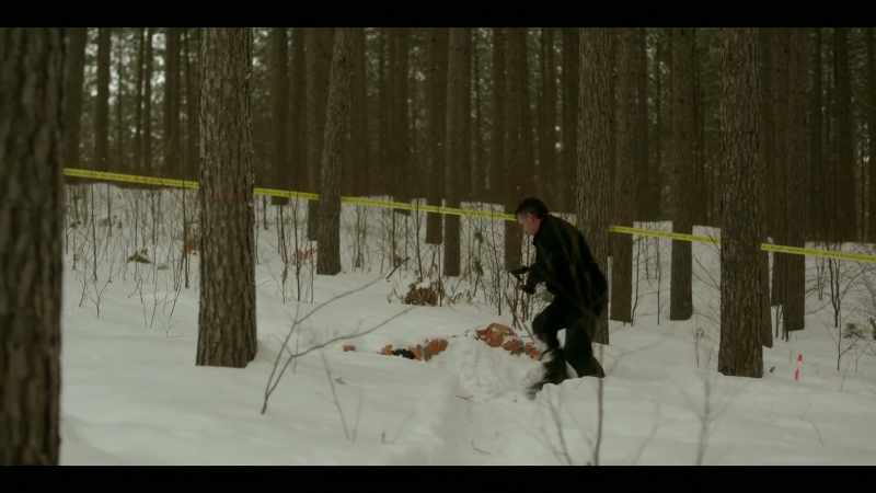 Cardinal: Any sign of torture?